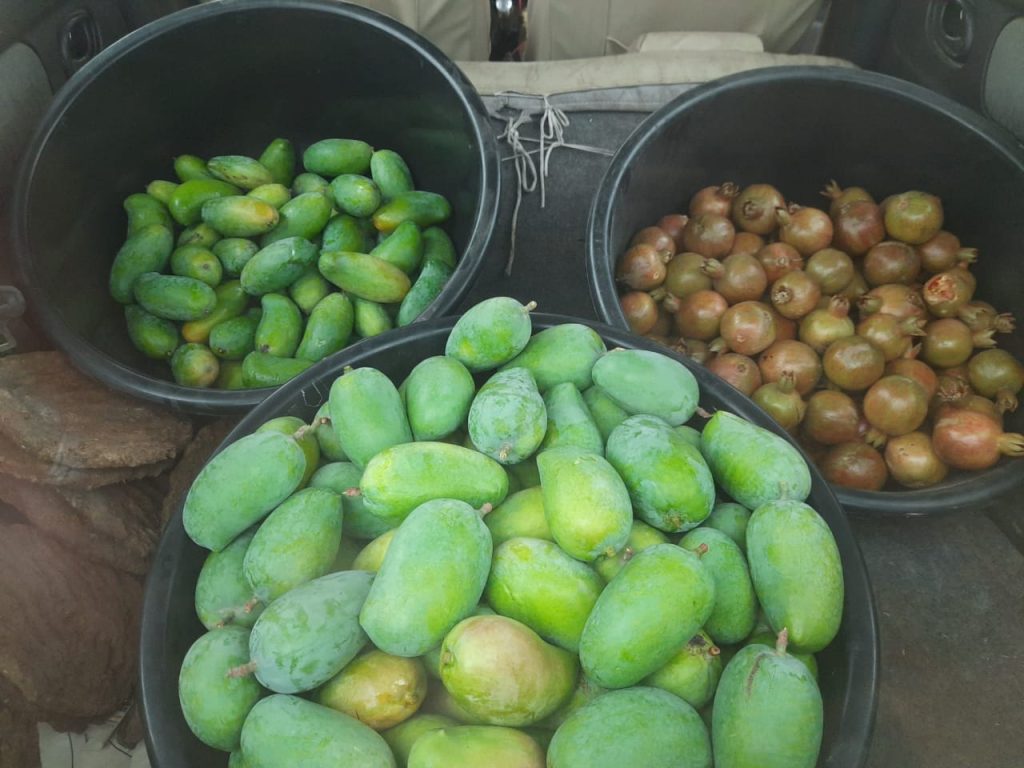 image_Shodhak Naturals